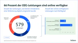 bitkom pressegrafik digitale verwaltung ozg web prvw