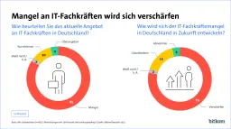 bitkom pressegrafik it fachkraeftemangel web prvw